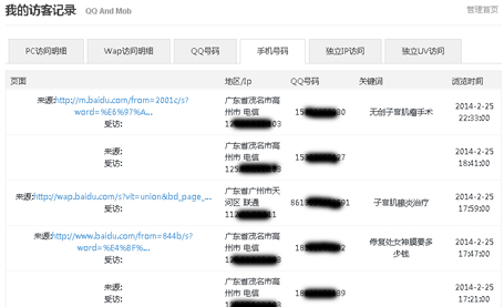碧诺网络手机访客统计系统