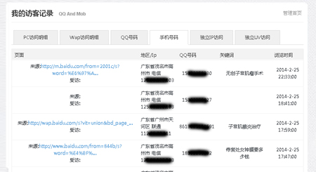 碧诺网络手机访客统计系统