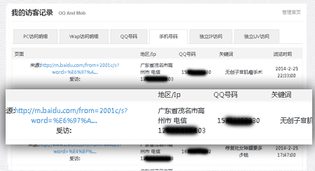 碧诺网络手机访客统计系统