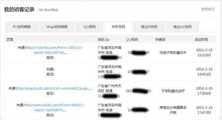 碧诺网络手机访客统计系统