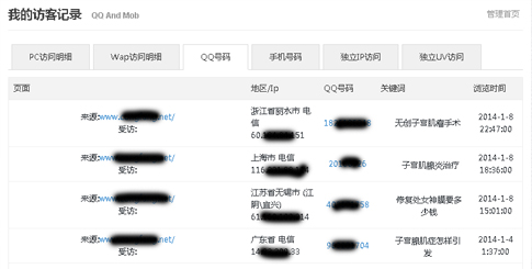 碧诺网络QQ访客统计系统