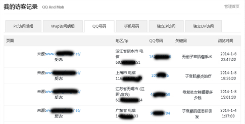 碧诺网络QQ访客统计系统