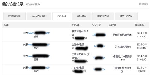 碧诺网络QQ访客统计系统