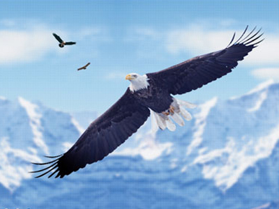 欧源泰华（北京）商贸有限公司